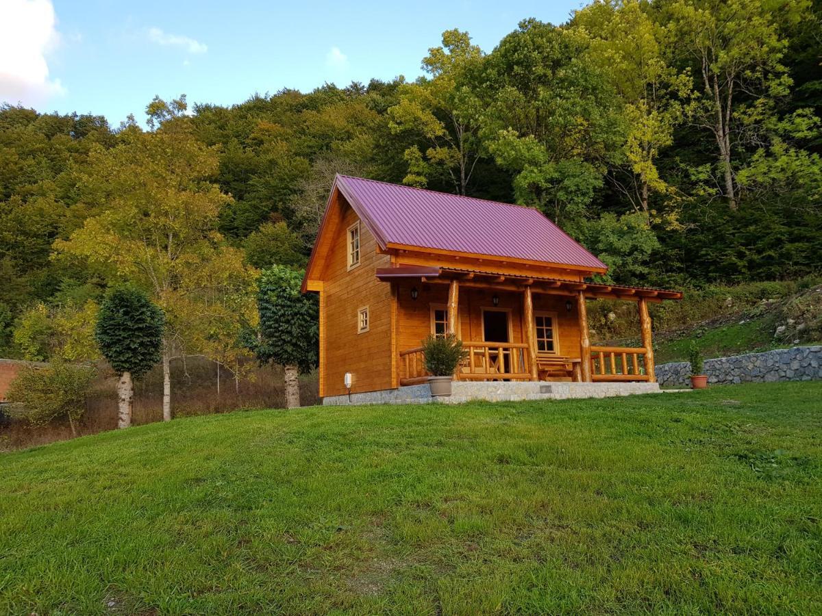 Holiday Home Milica Kolašin المظهر الخارجي الصورة