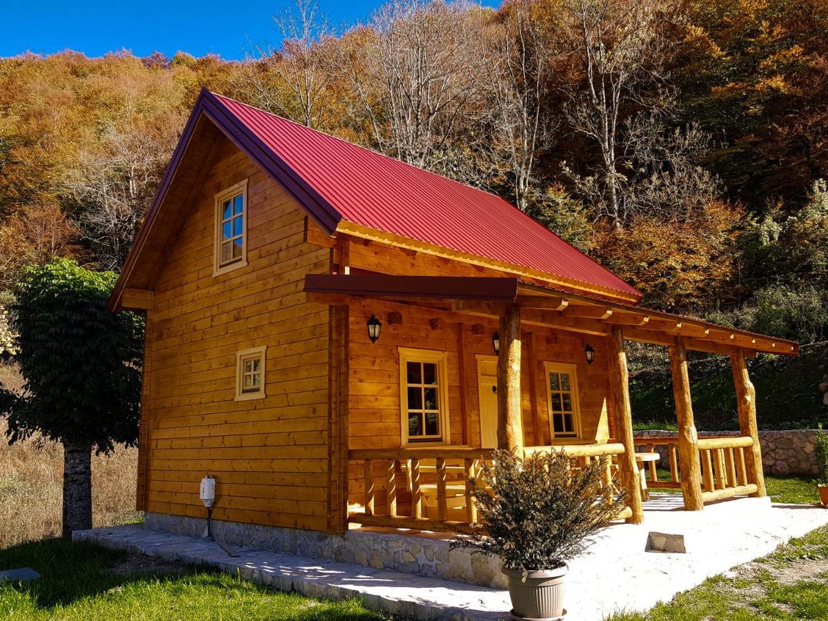 Holiday Home Milica Kolašin المظهر الخارجي الصورة