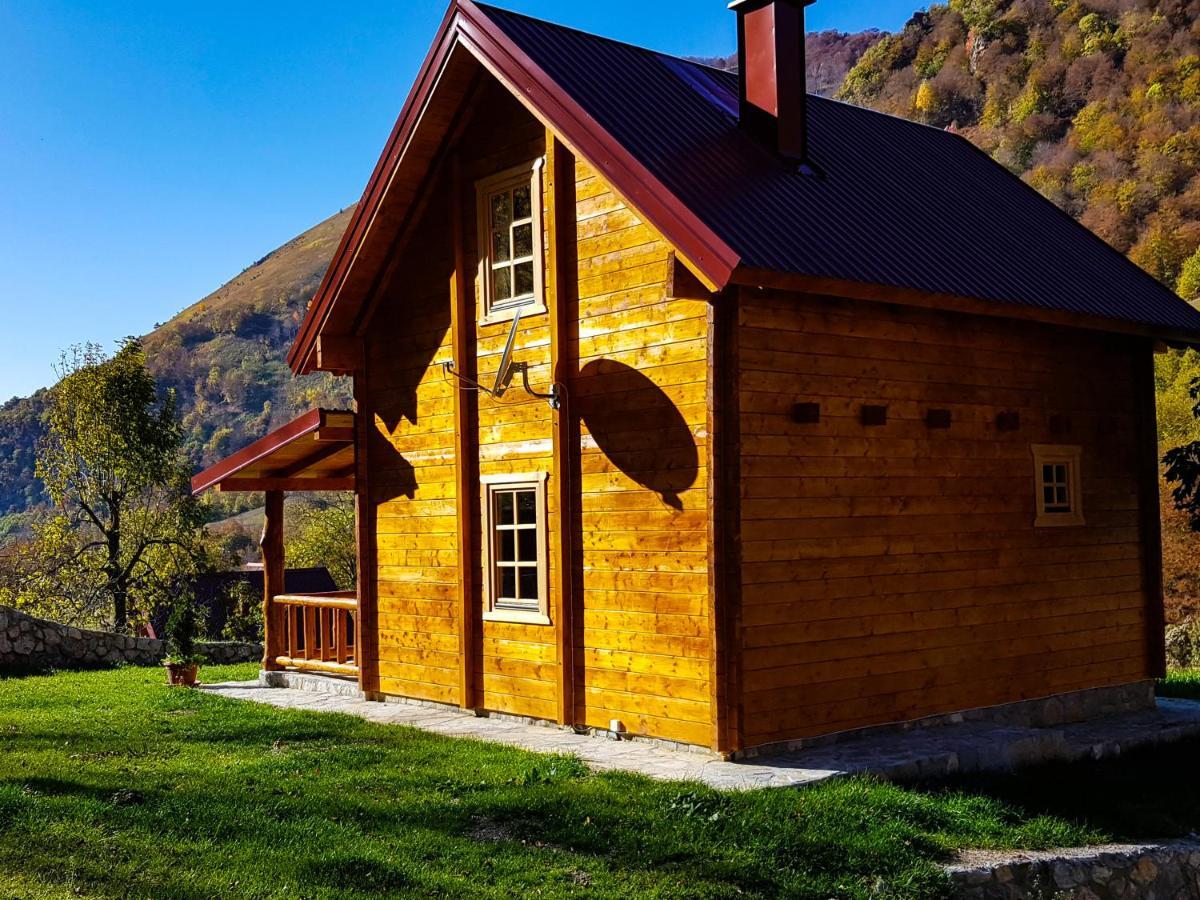 Holiday Home Milica Kolašin المظهر الخارجي الصورة