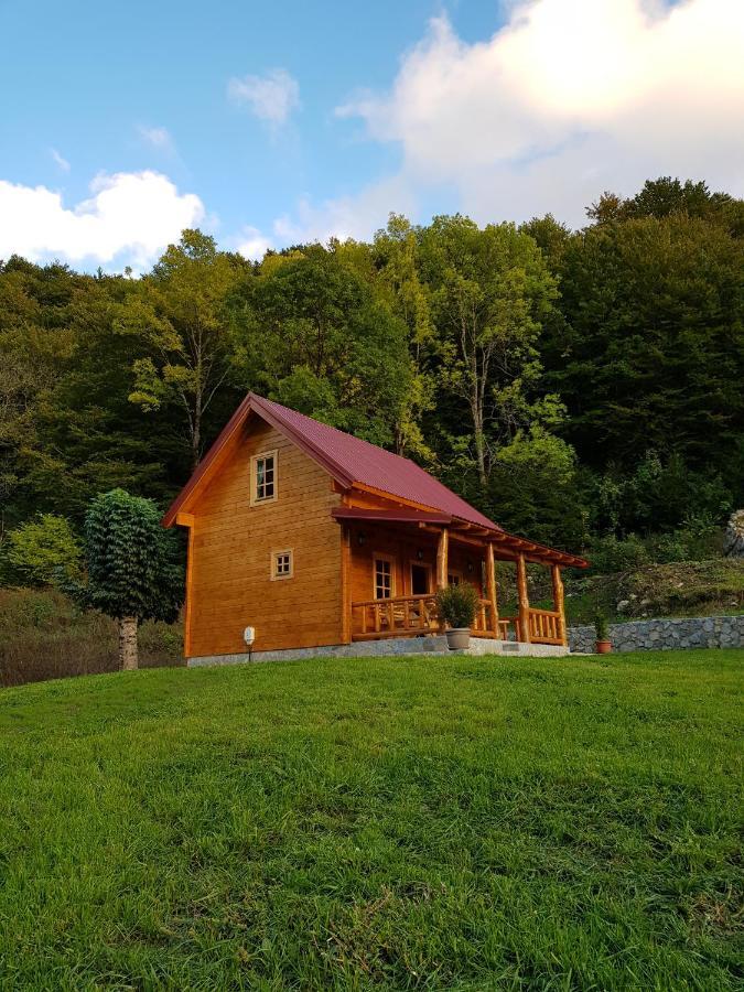 Holiday Home Milica Kolašin المظهر الخارجي الصورة