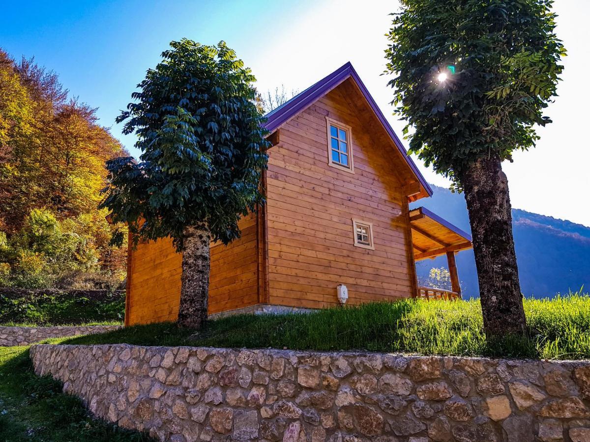 Holiday Home Milica Kolašin المظهر الخارجي الصورة